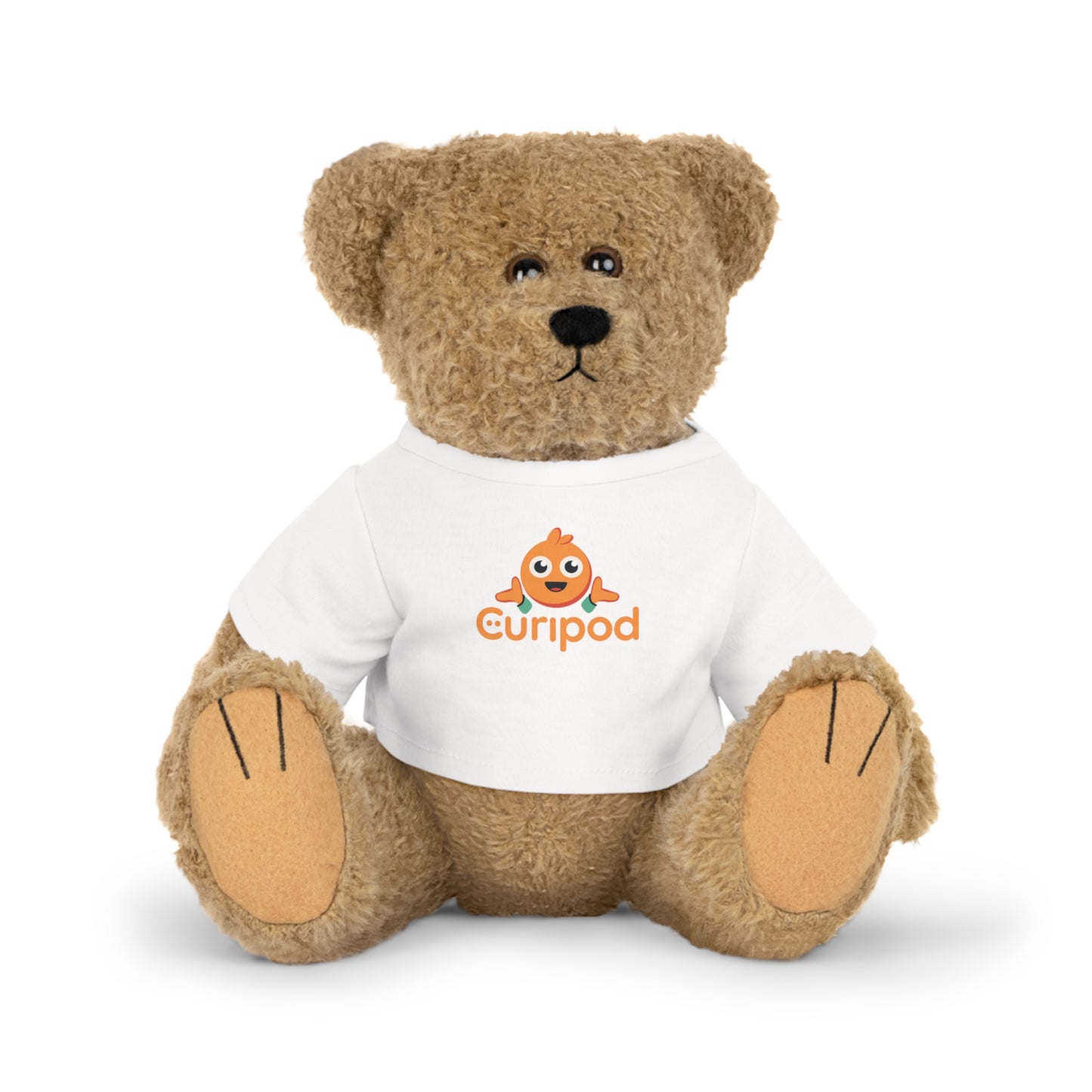 Curipod Classroom Teddy Bear