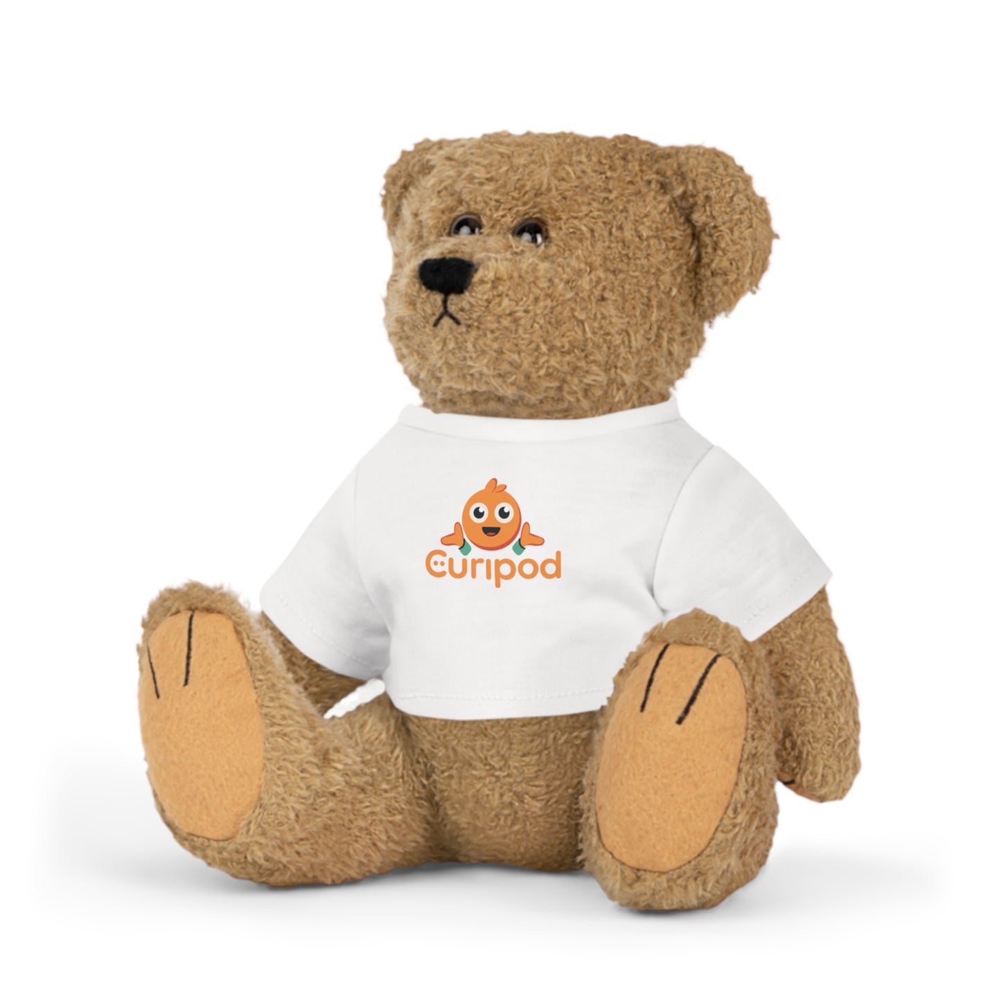 Curipod Classroom Teddy Bear